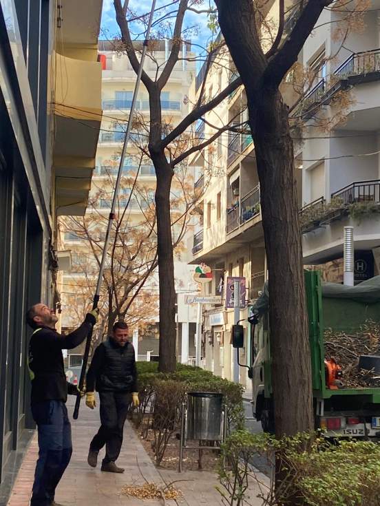 Poda de árboles en Calpe
