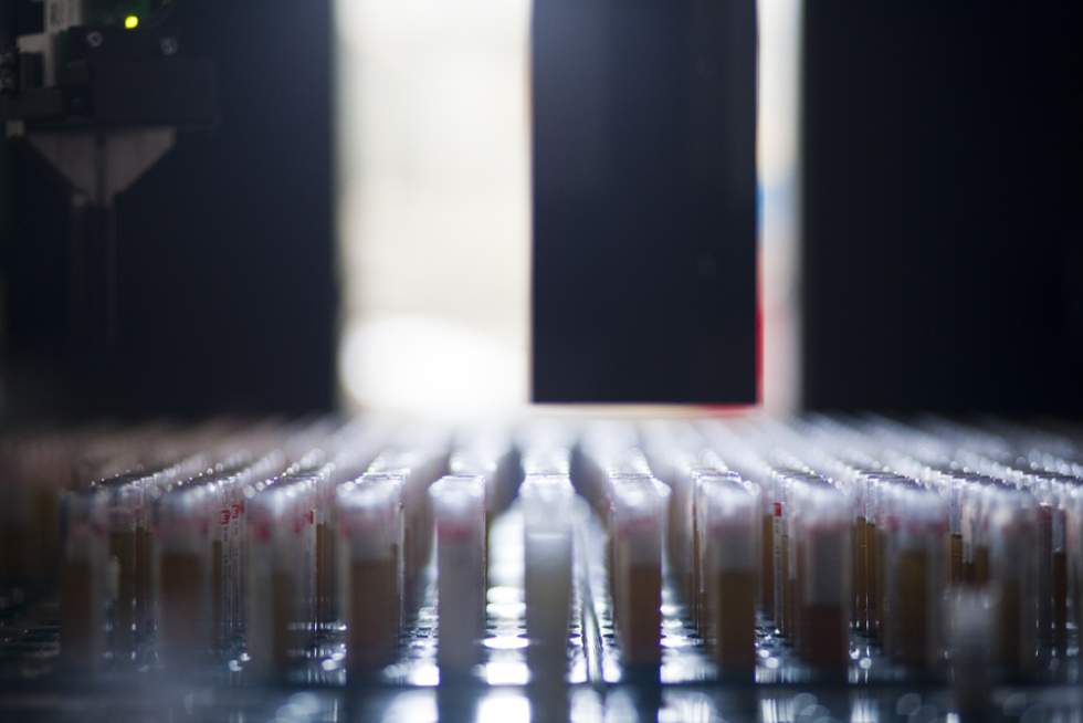 Laboratorio Marina Salud