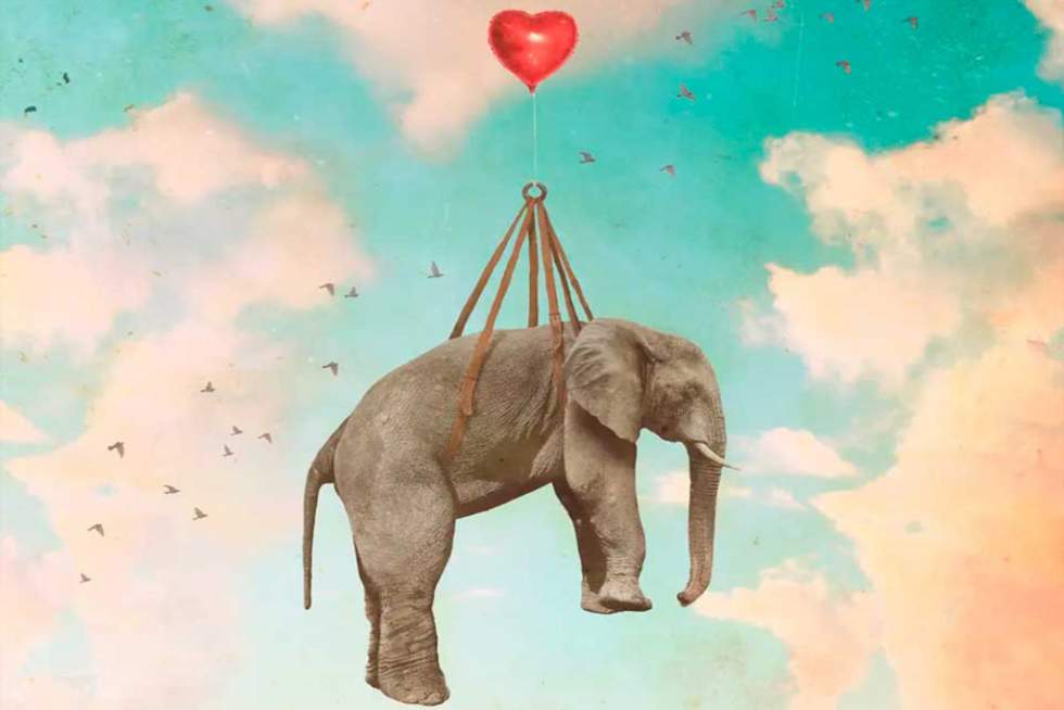 Portada del último disco de Macaco, 'Vuélame el corazón'.