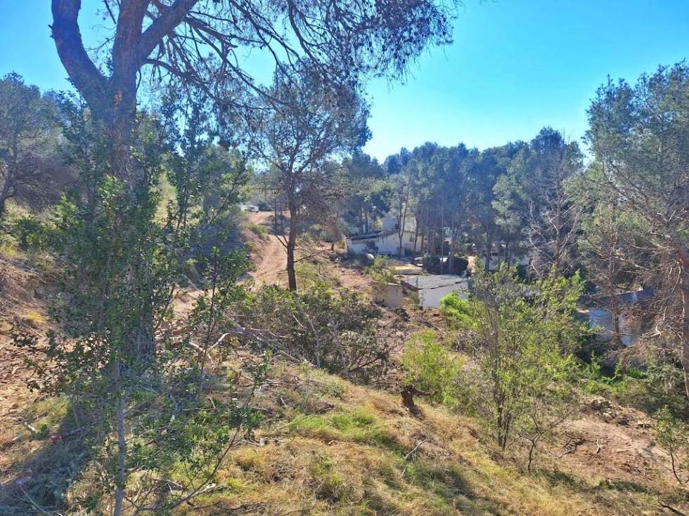 Calp finaliza las labores de mejora forestal en Empedrola para reforzar la prevención de incendios