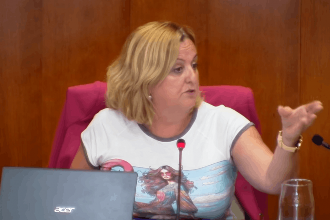 Ana Sala pleno cambio días