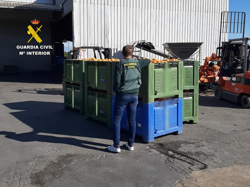 El equipo ROCA de la Guardia Civil de Calp destapa la venta ilegal de más de 33 toneladas de naranjas robadas en la Marina Alta y la Safor