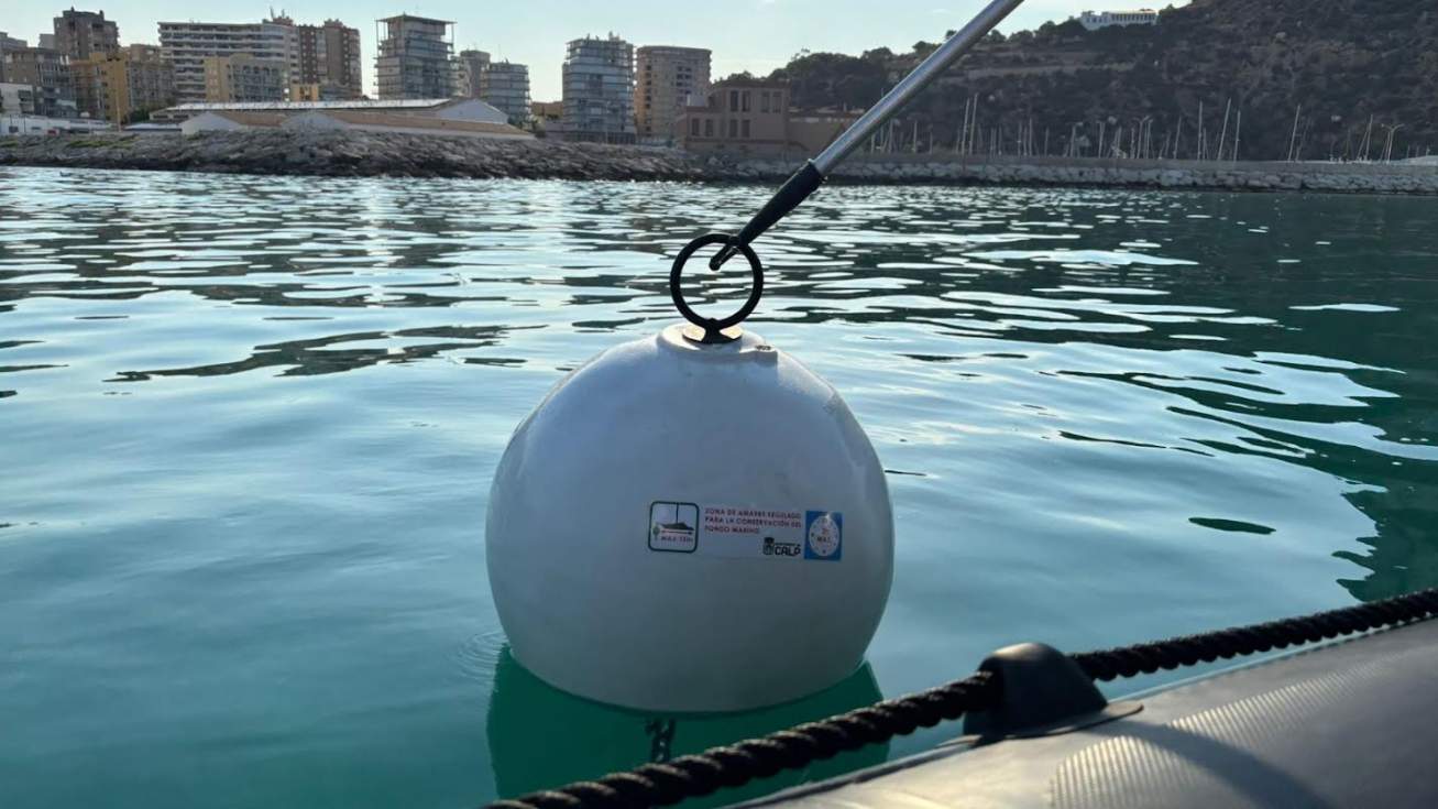 Calp instala 20 fondeos ecológicos para proteger las praderas de posidonia frente a sus playas