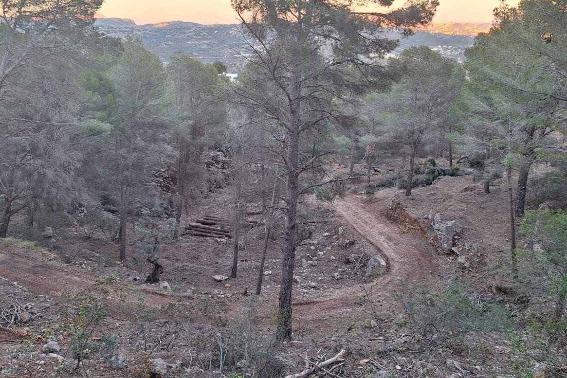 limpieza forestal oltà calp