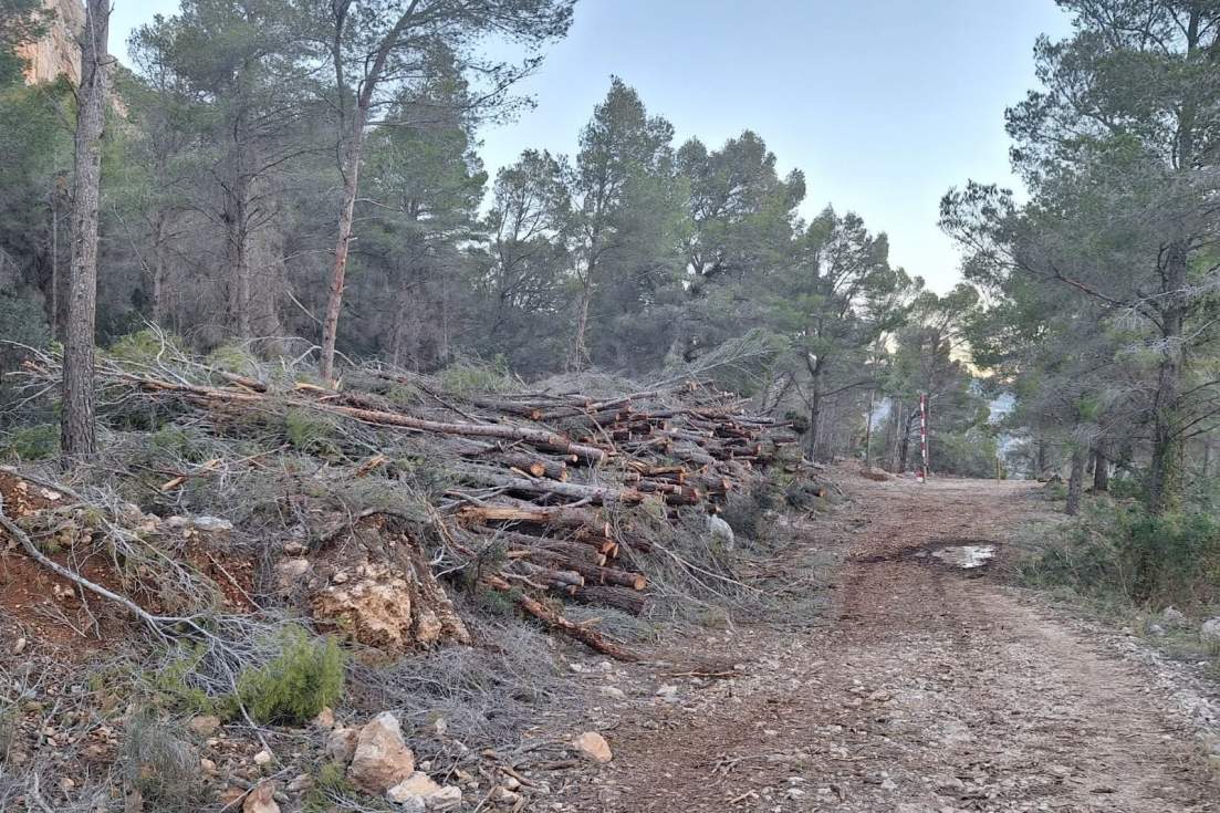 oltà calp limpieza forestal