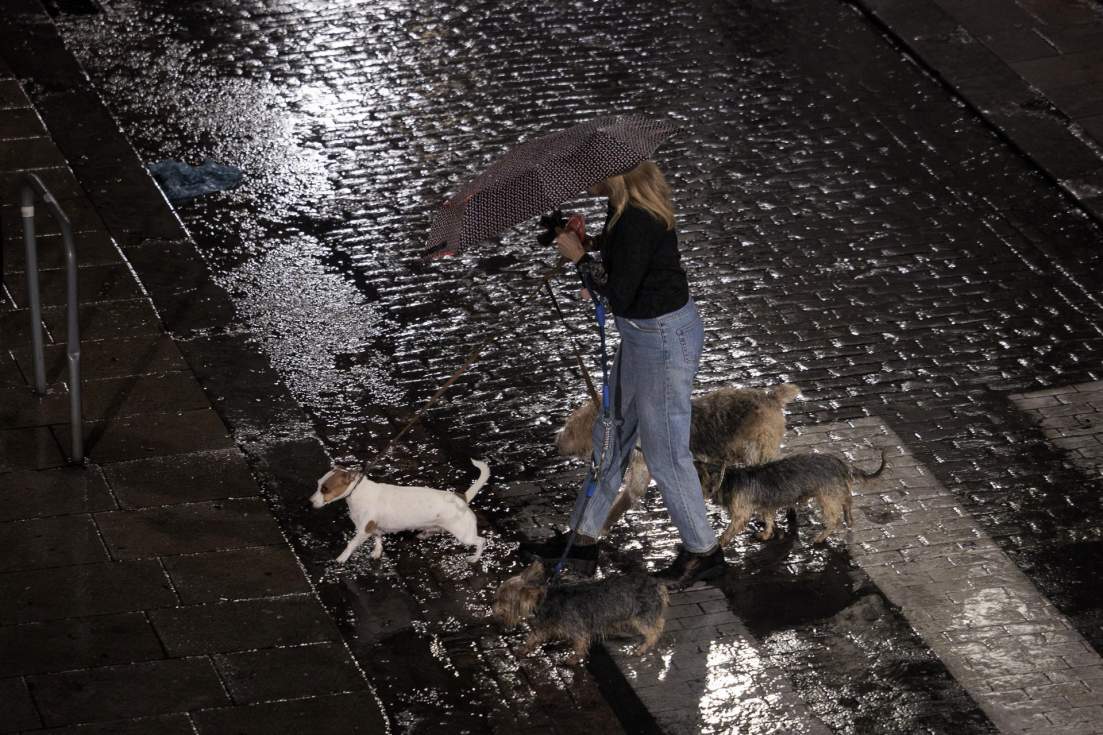 Mujer con paraguas pasea a sus perros bajo la lluvia. EFE/Biel Aliño